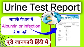 पेशाब में Albumin और Infection का पता कैसे करें।urine Test Report analysis।Urine report kaise dekhe। [upl. by Niveb642]