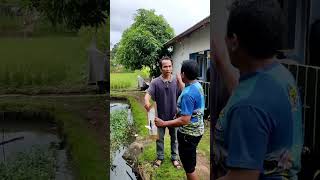 mang iwa masuk angin video ngakak lucu comedyterbaru comedyngakak comedy [upl. by Bronnie440]