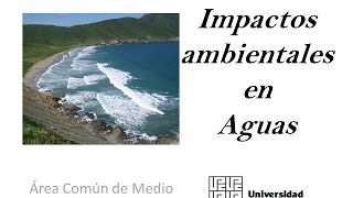 Impacto en las aguas por los fertilizantes  Acidificación de los oceanos  Zonas muertas Marinas [upl. by Yeleen798]