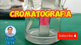 Método de Separación de Mezclas CROMATOGRAFÍA [upl. by Nnairak671]