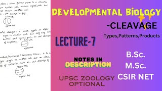 Cleavage  Types  Patterns  Planes  Products  BSc Zoology  Notes pdf in description [upl. by Dranoel845]