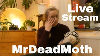 MrDeadMoth Live Streaming Domestic Abuse [upl. by Frangos741]