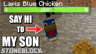 Resource Chickens and Refined Storage  Stoneblock Episode 07 [upl. by Ailel731]