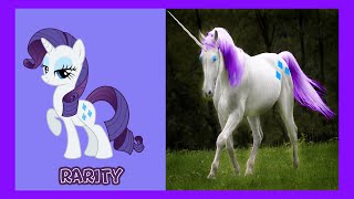 My little pony all characters in real life  mlp [upl. by Anglo]