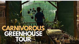 Cape Carnivores GreenhouseTour 2024 [upl. by Verneuil481]