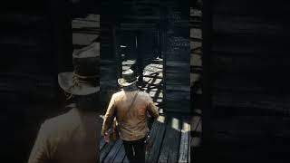 Hidden Gold in RDR2 The Ultimate Gold Ingot Location Guide [upl. by Nyleek52]