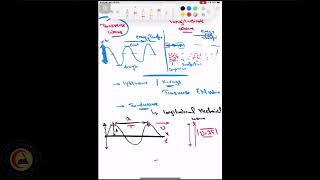 07 Radiology Physics of Ultrasound 1 Egypatian Fellowship Dr Mohamed Ehab [upl. by Enovi483]