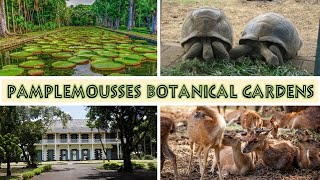 Pamplemousses Botanical Gardens in HD  Mauritius Attractions [upl. by Oetomit633]