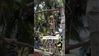 Roofing technique for vernacular hut [upl. by Kavita422]