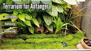 Terrarium für Anfänger  Teil 2 Gestaltung und Bepflanzung  Regenwaldterrarium  Pfeilgiftfrösche [upl. by Dranyam185]