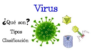 🦠 ¿Qué son los Virus 🦠 Tipos y Clasificación 🦠 Fácil y Rápido  BIOLOGÍA [upl. by Thorsten]