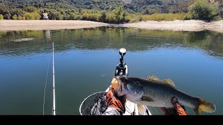 Fishing Silverwood and lake Perris Insane top water blowups [upl. by Pavlov]