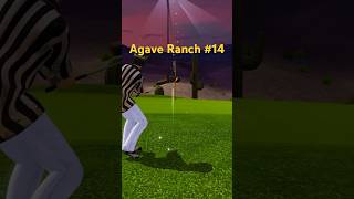 Agave Ranch Hole 14 Eagle 🦅 Chip from 31 yards [upl. by Gerfen]