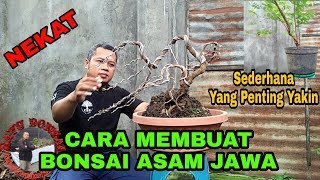 Cara Membuat Bonsai Asam Jawa Sampai Ketumplek [upl. by Melli]