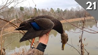 A Little Ice Goes A Long Way  Swamp Duck Hunting [upl. by Surat749]