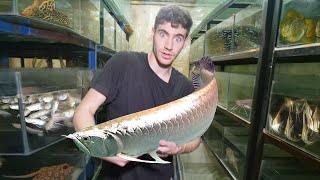 LARGEST Aquarium Fish Exporter CRAZY 800 Species in South America [upl. by Lleunamme727]