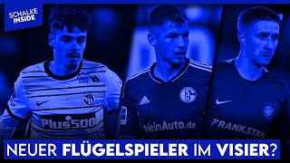 Holt Schalke Rrudhani für die Flügel Wird Pieringer nur verliehen  S04 NEWS [upl. by Osana909]