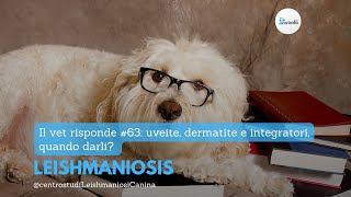 Il vet risponde 63 uveite dermatite e integratori Quando darli [upl. by Ahsekram]