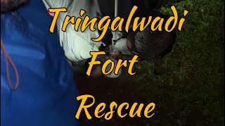 Tringalwadi Fort TrekVlog 2The Rescue [upl. by Leval]