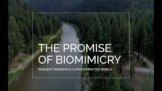 quotThe Promise of Biomimicryquot  Innovation and Design Inspired by Nature [upl. by Nangatrad]