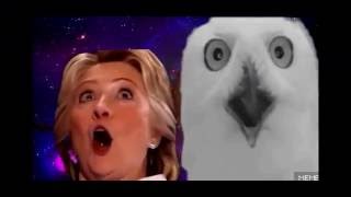 Hillary Clinton jacksonian seizure [upl. by Pietje582]