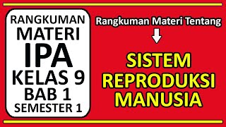 Rangkuman Materi IPA Kelas 9 K13 BAB 1 Sistem Reproduksi Manusia [upl. by Hynes]