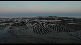 20170531 Val de Saire Barfleur Parc à huitres [upl. by Elita]