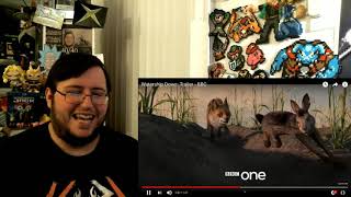 Gors quotWatership Down 2018quot Trailer REACTION [upl. by Nolyarb]