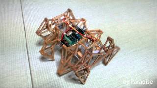 Theo Jansen mechanism RC WOODEN BEEST [upl. by Cavanagh81]