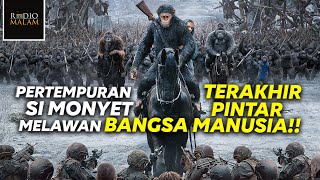 PERTARUNGAN TERAKHIR KERA MELAWAN MANUSIA  Alur Film War For The Planet of The Apes 2017 [upl. by Carmelo845]