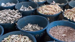 Libas Fishing Port Roxas City Capiz Philippines [upl. by Brett650]