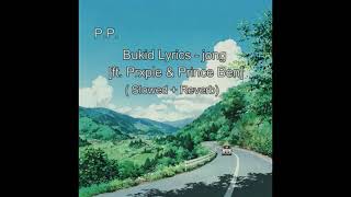 Bukid  jong ft Prxple amp Prince Ben Slowed  Reverb [upl. by Beitnes506]