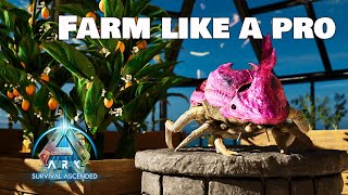 Complete Ark Farming Guide  How to grow crops in Survival Ascended [upl. by Yule]