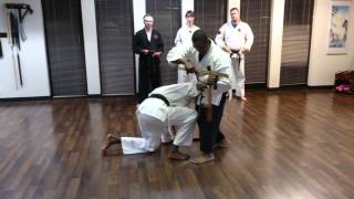 Matayoshi Tonfa Kata Bunkai [upl. by Anastas845]