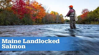 Fishing Grand Lake Stream Maine for Beautiful Landlocked Salmon  S15 E05 [upl. by Nordin816]