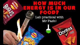 How much energy is in our food Crisp burning lab practical with Mr Pash [upl. by Arihat]