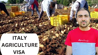 italian seasonal visa ki full details  Agriculture jobs visa in italy 🇮🇹  Avi italian vlogs [upl. by Wiebmer343]