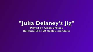 quotJulia Delaneys Jigquot  recorded for the Mandolin Cafes quotMandolin Players In IrelandquotSocial Group [upl. by Eidna]