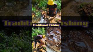 how to catch shrimps and crabs from the stream in a traditional way trending shortsviral [upl. by Ayalat274]