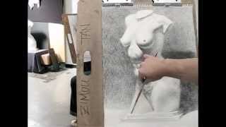 Zimou Tan  Art  Step by step how to draw torso with crosshatching drawing demo [upl. by Charlton]