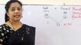 CLASS10 HEREDITY  MALAYALAM SINGLE VIDEO [upl. by Avery958]