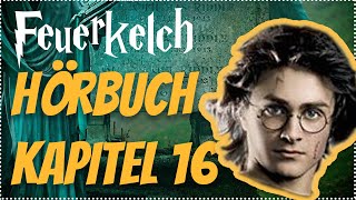 Harry Potter und der Feuerkelch Hörbuch Kapitel 16 Hörspiel Erwachsene Hörbuch Hörspiel [upl. by Lletnom]