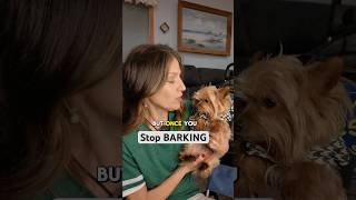 How to make your dog stop BARKING barkingdog [upl. by Ixel]