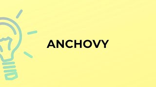 What is the meaning of the word ANCHOVY [upl. by Iolenta741]