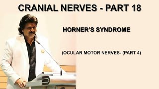 CRANIAL NERVES PART 18  LOCALIZATION OF HORNERS SYNDROME OCULAR MOTOR NERVES  PART 4 [upl. by Denie]