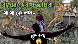 ভয়ংকর সুন্দর সুন্দরবন  Largest Mangrove Forest  Sundarban Tour 🐯🦌🐊 [upl. by Ahcsrop744]