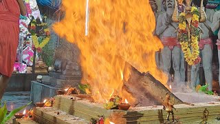 🙏🔱🕉️Maa Aghorakali hawan 🔴 Live Darshan 🔥🕉️🔱🙏 [upl. by Zohara]