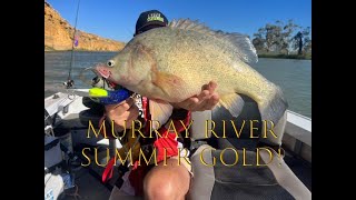 Fishing for Yellowbelly on the Murray River in South Australia [upl. by Codie]