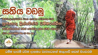 “හද සනසන බුදු සිසිලස” සතිය වඩමු  Ven Dhammarakkitha Thero [upl. by Refitsirhc794]