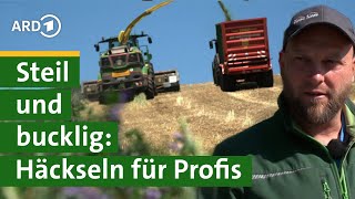 Roggen häckseln für Biogasanlage Bauer Georg am Steilhang  Hofgeschichten 15  Unser Land  BR [upl. by Enimsay493]